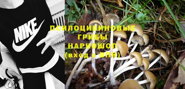 MESCALINE Пролетарск