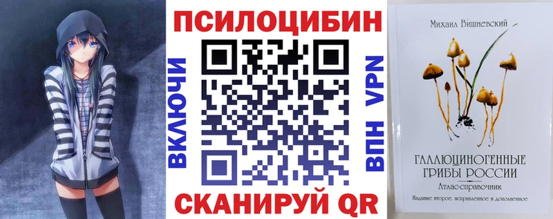 Псилоцибиновые грибы Psilocybine cubensis  Печора 